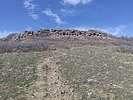 photo thumbnail #7