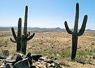 photo thumbnail #9