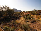 photo thumbnail #2