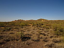 photo thumbnail #3