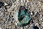 photo thumbnail #3
