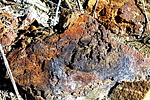 photo thumbnail #4