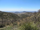 photo thumbnail #12