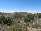 photo thumbnail #14