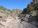 photo thumbnail #4