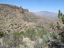 photo thumbnail #8
