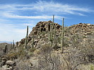 photo thumbnail #11