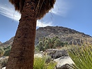 photo thumbnail #5