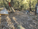 photo thumbnail #13