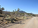 photo thumbnail #13