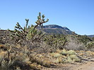 photo thumbnail #14
