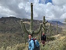 photo thumbnail #1