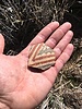 photo thumbnail #1