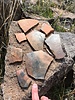 photo thumbnail #9