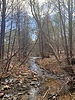 photo thumbnail #11