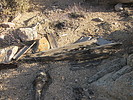 photo thumbnail #8