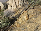 photo thumbnail #14