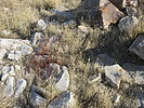 photo thumbnail #13