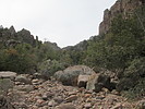 photo thumbnail #6