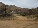 photo thumbnail #1