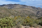 photo thumbnail #6