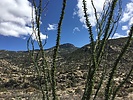photo thumbnail #4