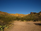 photo thumbnail #6