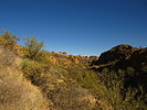 photo thumbnail #8