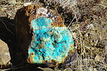 photo thumbnail #5