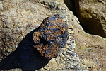 photo thumbnail #7