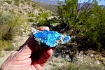 photo thumbnail #8