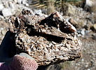 photo thumbnail #9
