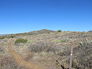 photo thumbnail #6