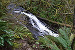 photo thumbnail #7