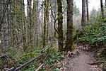 photo thumbnail #10