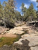 photo thumbnail #6