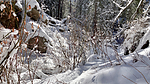 photo thumbnail #13