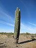 photo thumbnail #2