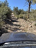 photo thumbnail #12