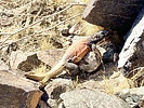 recent photo