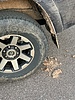 photo thumbnail #7