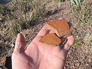 photo thumbnail #7