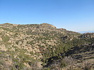 photo thumbnail #8