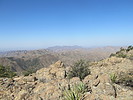 photo thumbnail #12