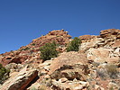 photo thumbnail #14