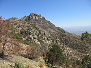 photo thumbnail #5