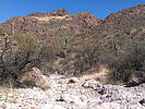 photo thumbnail #2