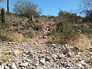 photo thumbnail #3