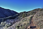 photo thumbnail #5