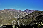 photo thumbnail #10